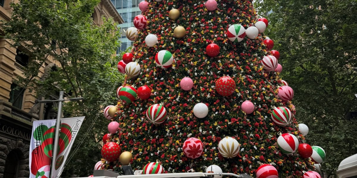 xmas 2024.4 scaled